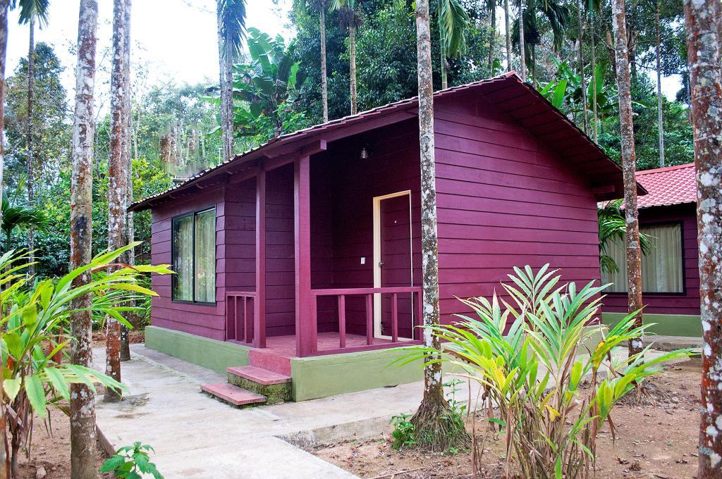 La Flora Prakruth Resort Coorg Madikeri Bagian luar foto