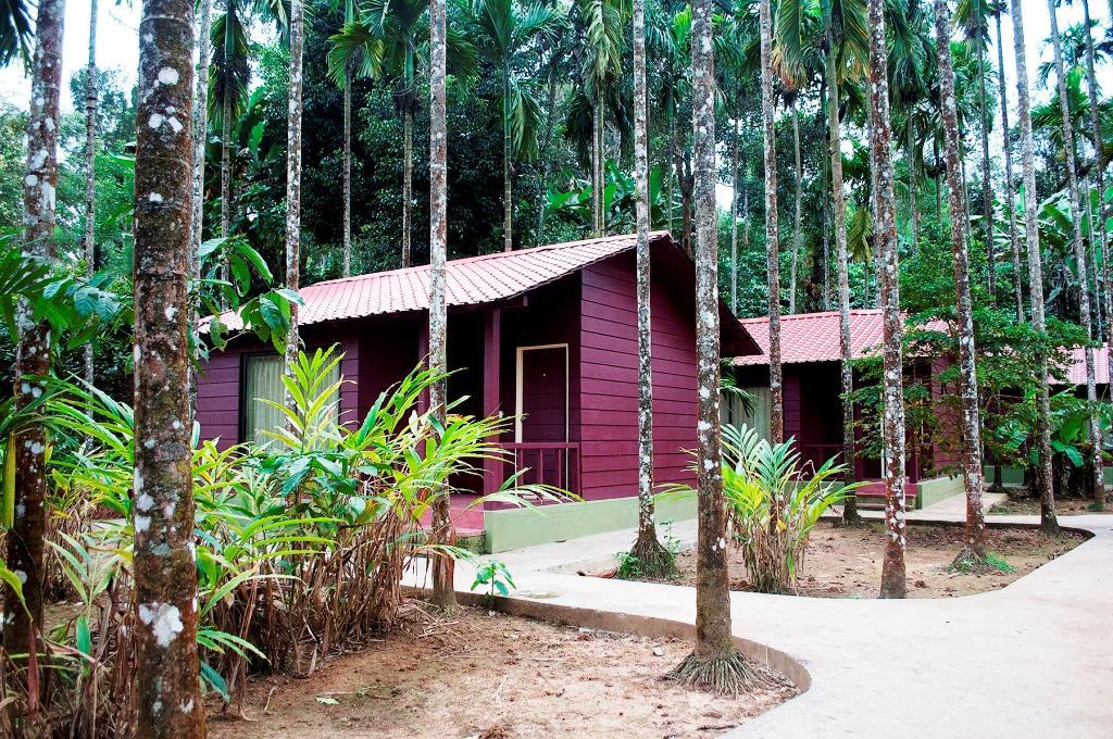 La Flora Prakruth Resort Coorg Madikeri Bagian luar foto